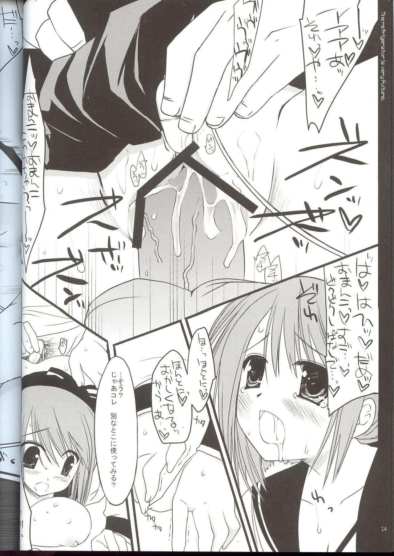 (C69) [D.N.A.Lab. (Miyasu Risa)] Reizoukotte Tottemo Future ‐ The Refrigerator is very Future (ToHeart 2) page 13 full