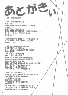 (C66) [L-CALENA (Kisaragi)] [L-CALENA] Nekomanma 2 (Fate/stay night) - page 22