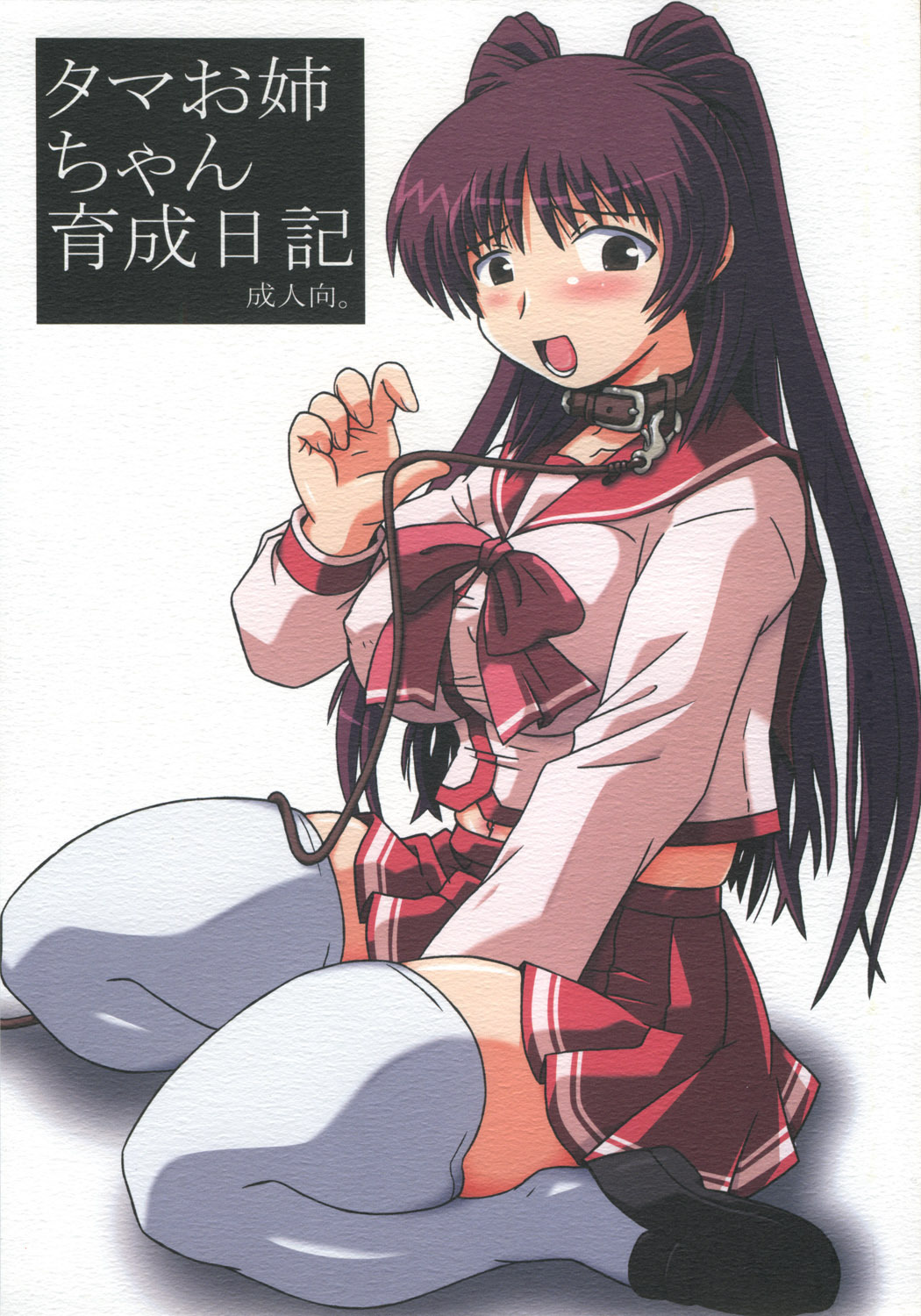 (C68) [Salvage Kouboh (Houou-tan)] Tama Onee-chan Ikusei Nikki (ToHeart2) page 1 full
