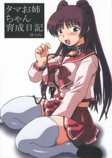 (C68) [Salvage Kouboh (Houou-tan)] Tama Onee-chan Ikusei Nikki (ToHeart2) - page 1