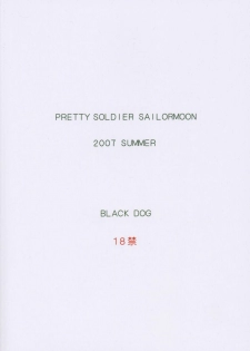 (C72) [BLACK DOG (Kuroinu Juu)] In A Silent Way (Sailor Moon) [English] [Phantom] - page 40