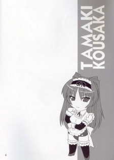 (C71) [CAZA MAYOR (Tsutsumi Akari)] ToyHeart Vol. 4 (ToHeart2) - page 3