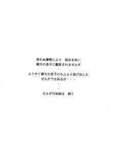 (C56) [LTM. (Taira Hajime)] NISE Zelda no Densetsu Shinshou (The Legend Of Zelda) - page 3