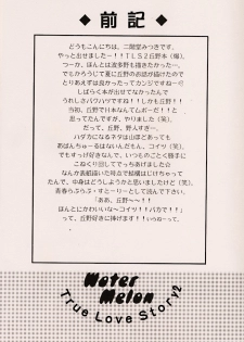 (C56) [ZOKU (Nikaidou Mitsuki)] Water Melon (True Love Story 2) - page 3