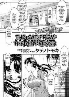 The Cat From The 4th Floor [English] - page 2
