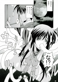(C71) [EXtage (Minakami Hiroki)] ANNIVERSARY EXtra stage vol. 20 (Kanon, To LOVE-Ru) - page 13