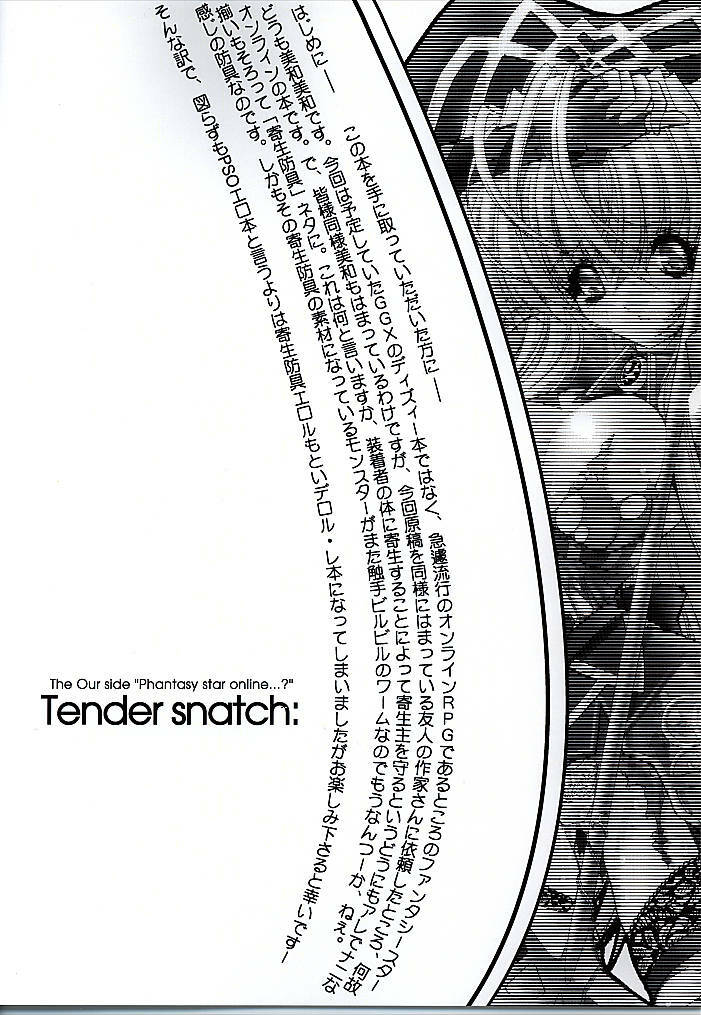 [Synthetic Garden (Various)] Tender Snatch (Phantasy Star Online) page 2 full