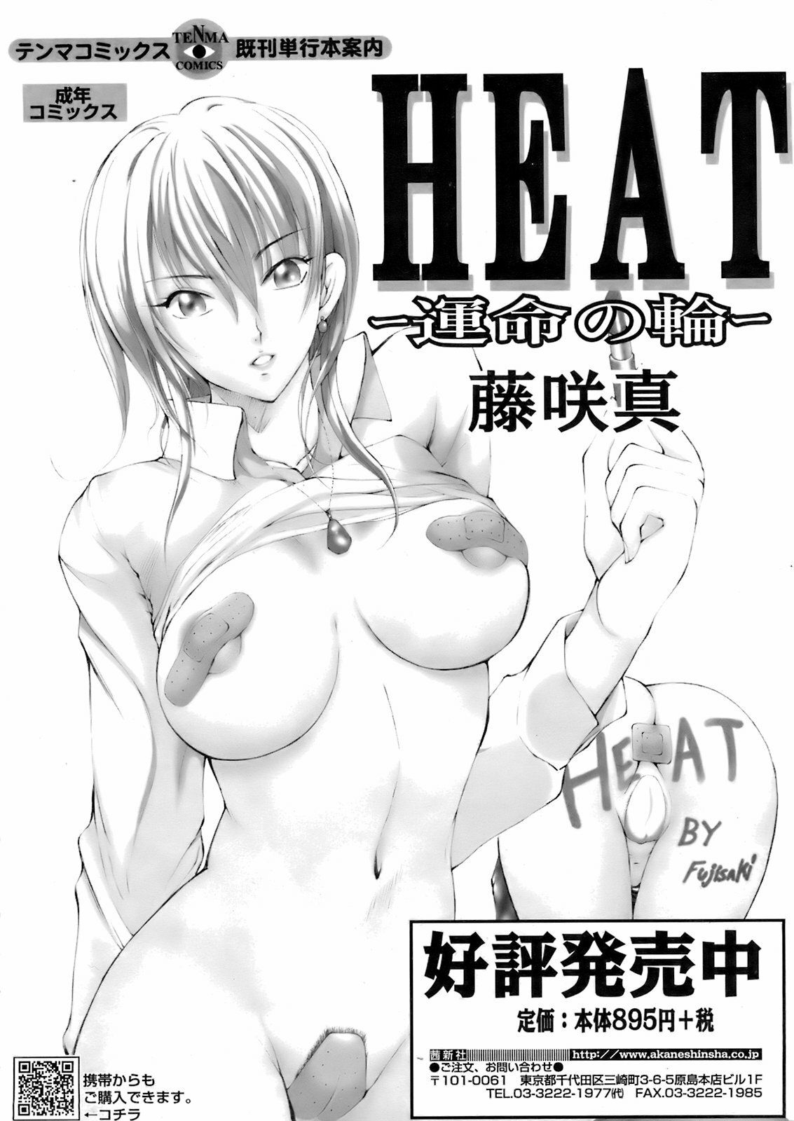 COMIC TENMA 2008-02 page 287 full
