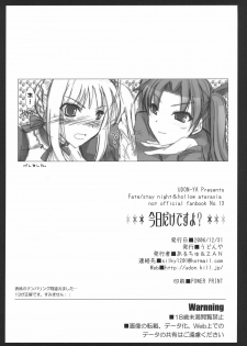 (C71) [UDON-YA (Kizuki Aruchu, ZAN)] Kyou dake desu yo? (Fate/hollow ataraxia) - page 37