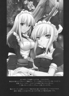 (C71) [UDON-YA (Kizuki Aruchu, ZAN)] Kyou dake desu yo? (Fate/hollow ataraxia) - page 3