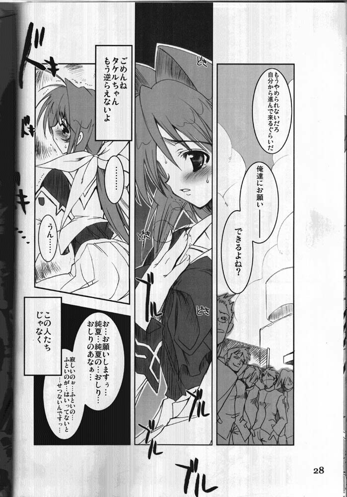 (C64) [HarthNir (Misakura Nankotsu)] Kawaii no Suki (Muv-Luv) page 27 full