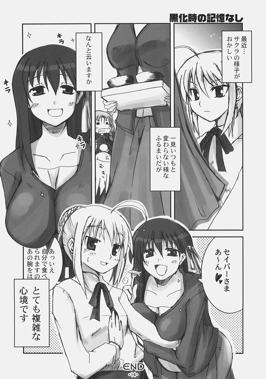 (C70) [TAROTS (Sawano Akira)] Arcana 2 (Fate/hollow ataraxia) page 13 full