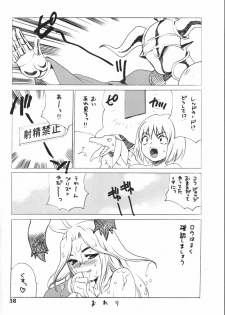 (C64) [Shallot Coco (Yukiyanagi)] Yukiyanagi no Hon 6 Morrigan Leather Type (Final Fantasy Tactics Advance) - page 39