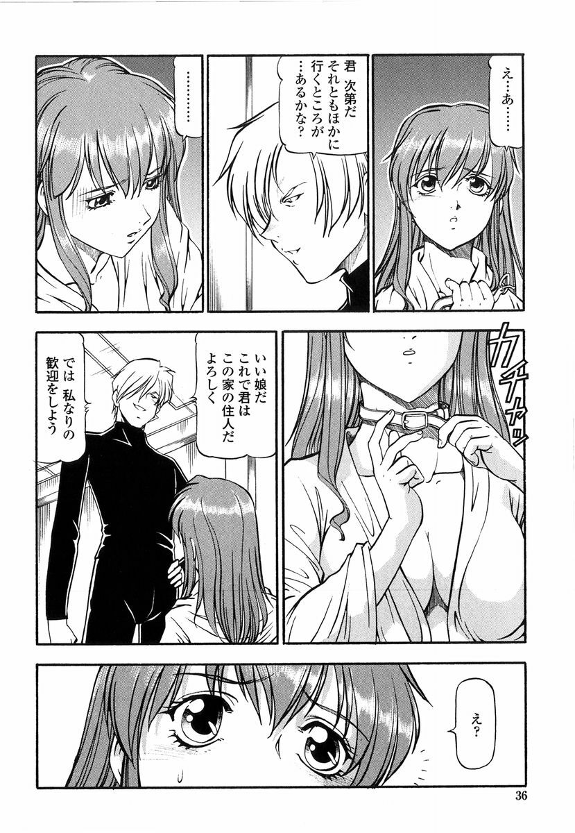 [ITOYOKO] Kichiku no Tora - Sold Out page 34 full