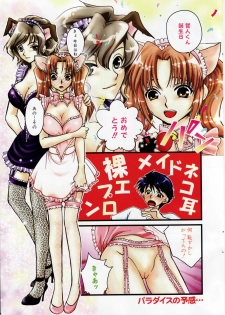 Manga Bangaichi 2007-02 - page 3