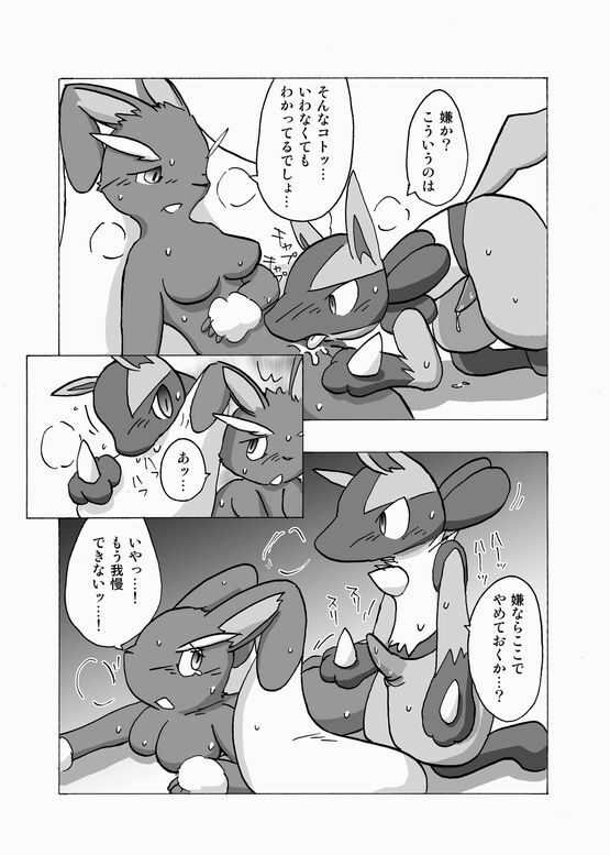 Lucario and Lopunny doujin (Furry) page 11 full