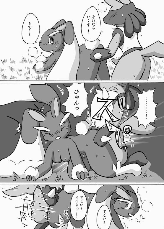 Lucario and Lopunny doujin (Furry) page 12 full