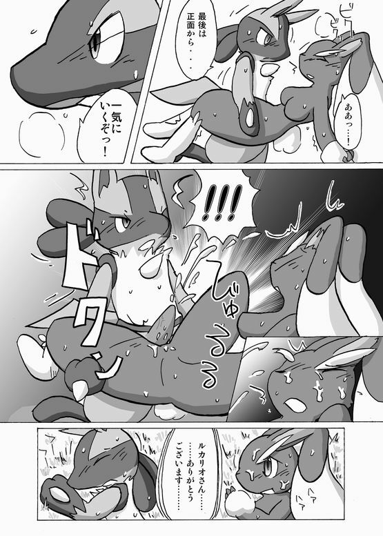 Lucario and Lopunny doujin (Furry) page 13 full