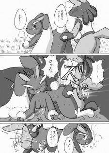 Lucario and Lopunny doujin (Furry) - page 12
