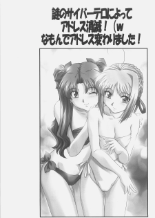 (C70) [STUDIO TRIUMPH (Mutou Keiji)] Astral Bout Ver. 11 (Fate/stay night) - page 24