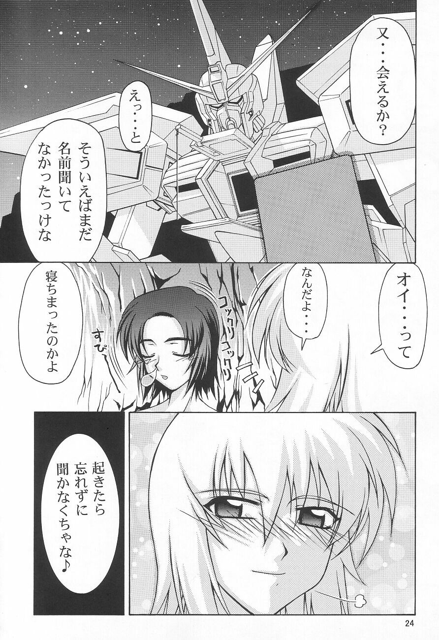 (C65) [GOLD RUSH (Suzuki Address)] Emotion (Ki) (Gundam SEED) page 24 full