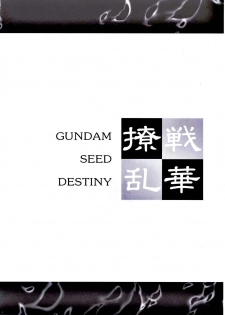 (CR37) [ESSENTIA (Fujima Takuya)] Senka Ryouran (Kidou Senshi Gundam SEED DESTINY) - page 3