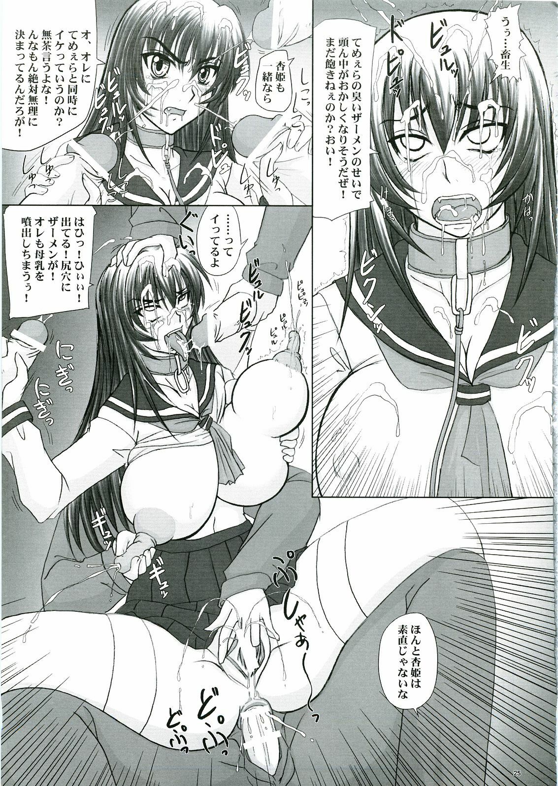 (C69) [Nozarashi (Nozarashi Satoru)] Reijoku! Kyouhime-sama Jigoku Hen page 25 full