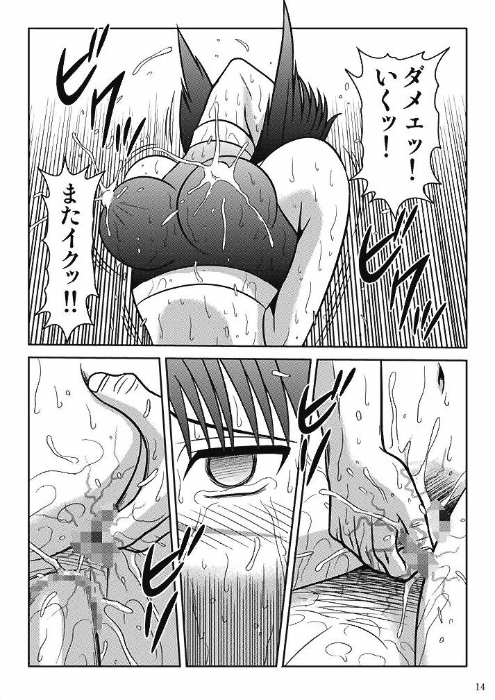 [Akiyama Production (Kurauda Shouta)] Hibusou Dorei 2 (Busou Renkin) page 14 full