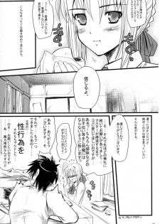 (C70) [MeroMeroFactory XL (Mochisuke Teru)] Saber of Stripes. (Fate/stay night) - page 15