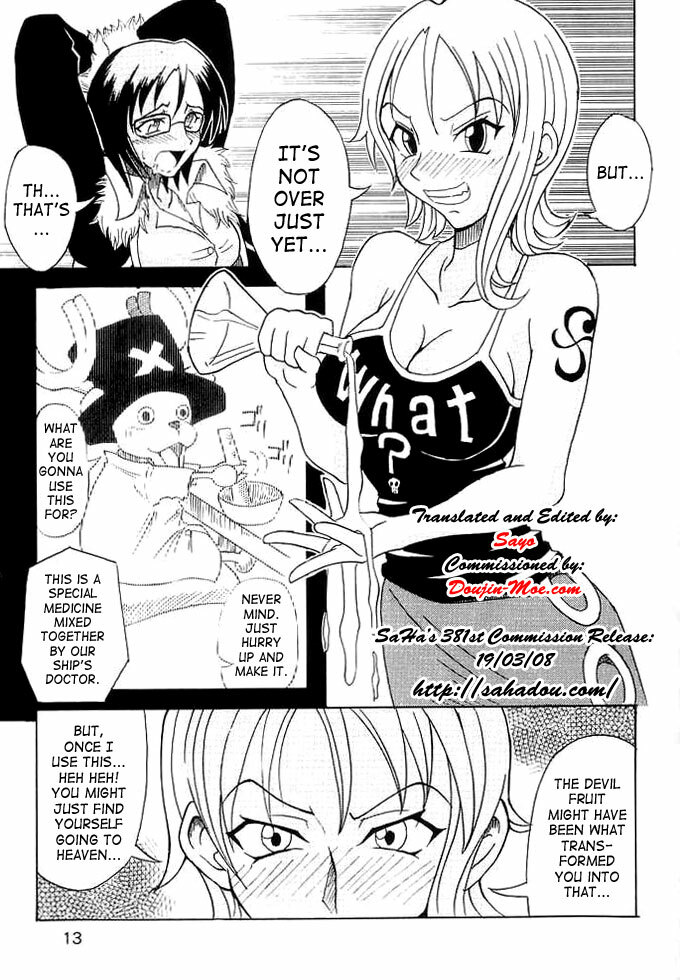 (C63) [Majimeya (isao)] Don't Trust Anybody (One Piece) [English] {doujin-moe.com} page 12 full