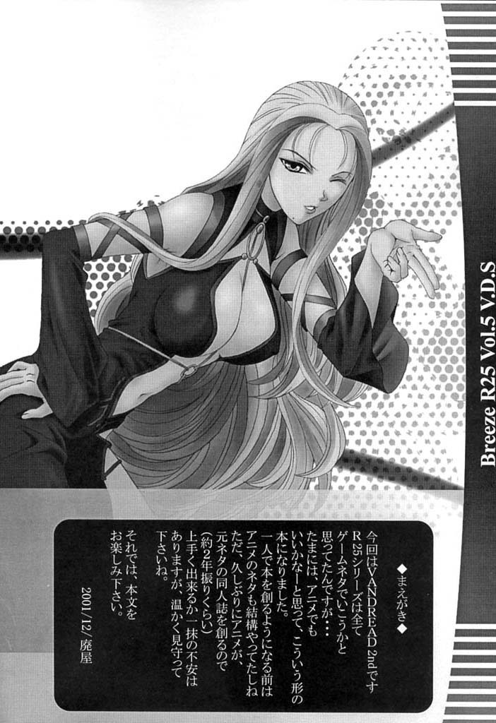 (C61) [BREEZE (Haioku)] R25 Vol.5 V.D.S (Vandread) page 3 full