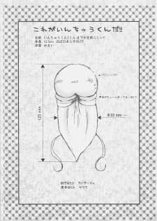 (C71) [UDON-YA (Kizuki Aruchu, ZAN)] Sawayaka 4koma Inchuu-kun Soushuuhen + alpha (Fate/stay night) - page 2