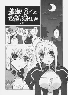 (C70) [WILD KINGDOM (Sensouji Kinoto)] FATE MAGIC (Fate/stay night) - page 4