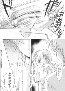 (C62) [HIGH RISK REVOLUTION (Aizawa Hiroshi)] Shiori Dai-Kyuu-Shou Garasugoshi no Real (Tokimeki Memorial) - page 17