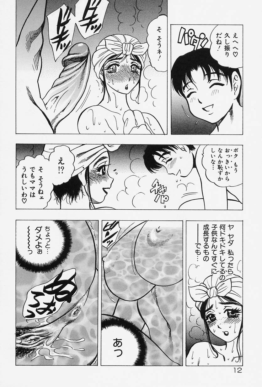 [Bijogi Junction] Shukujo No Seiheki page 14 full