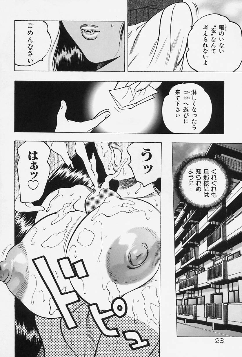 [Bijogi Junction] Shukujo No Seiheki page 30 full