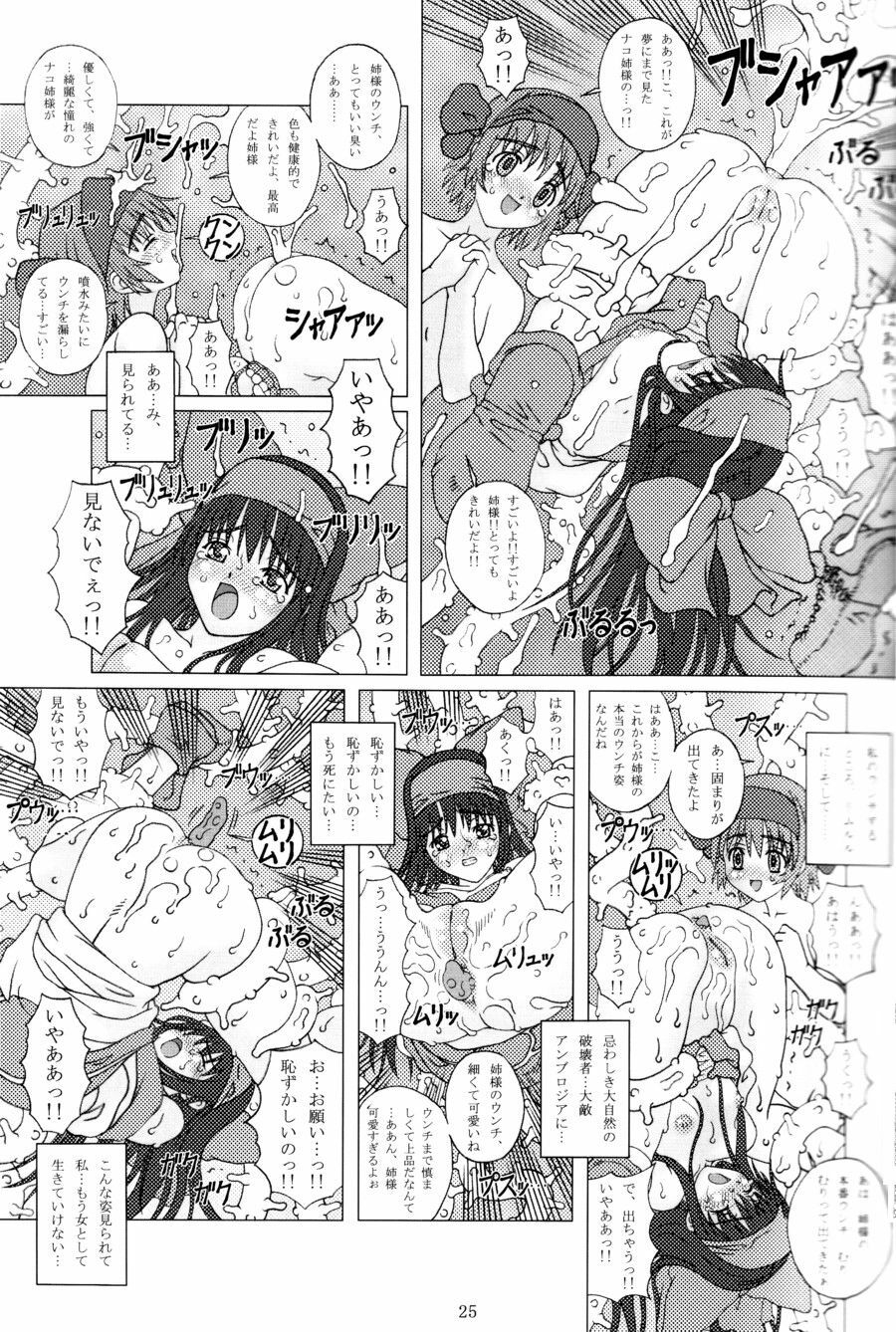(C65) [Chill-Out (Fukami Naoyuki)] Junk Inbaku no Miko (Samurai Spirits) page 24 full