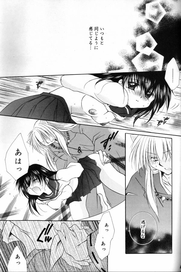 (C65) [Sakurakan (Seriou Sakura)] Hana To Ringo (Inuyasha) page 26 full