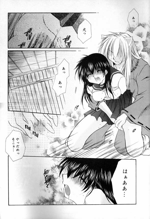 (C65) [Sakurakan (Seriou Sakura)] Hana To Ringo (Inuyasha) page 29 full