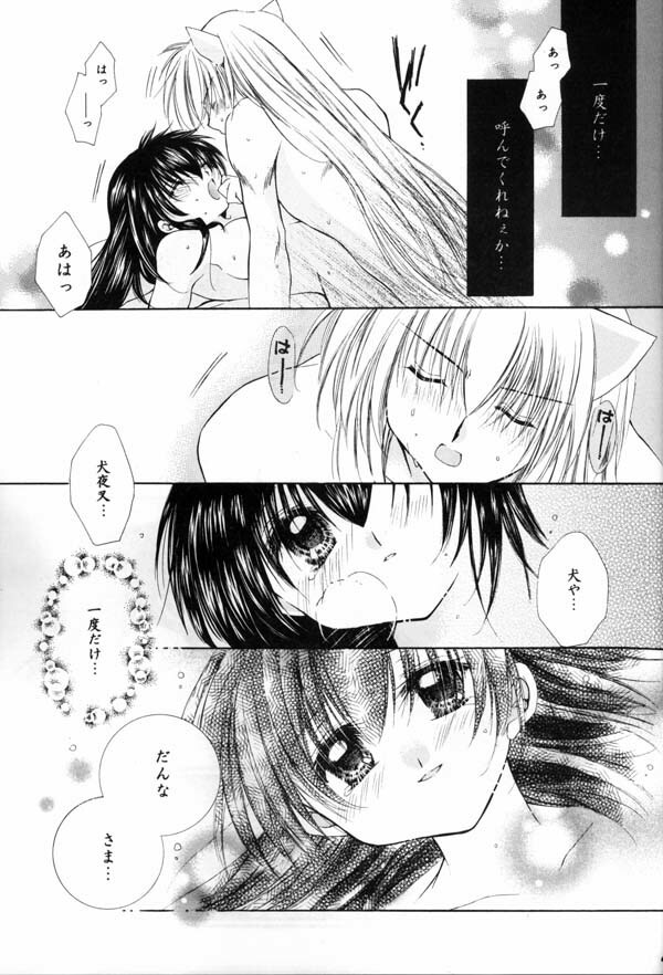 (C65) [Sakurakan (Seriou Sakura)] Hana To Ringo (Inuyasha) page 39 full