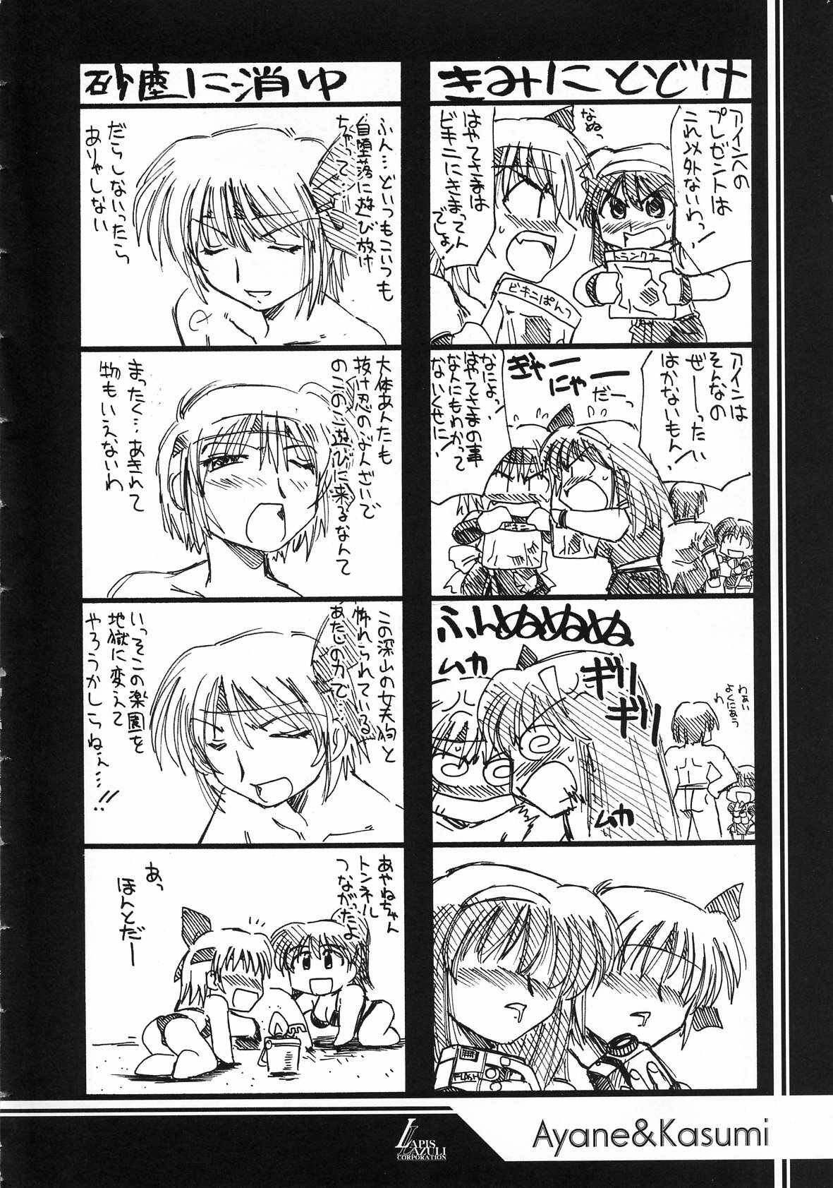 (C63) [UA Daisakusen (Harada Shoutarou)] Ruridou Gahou CODE:19 (Dead or Alive) page 6 full