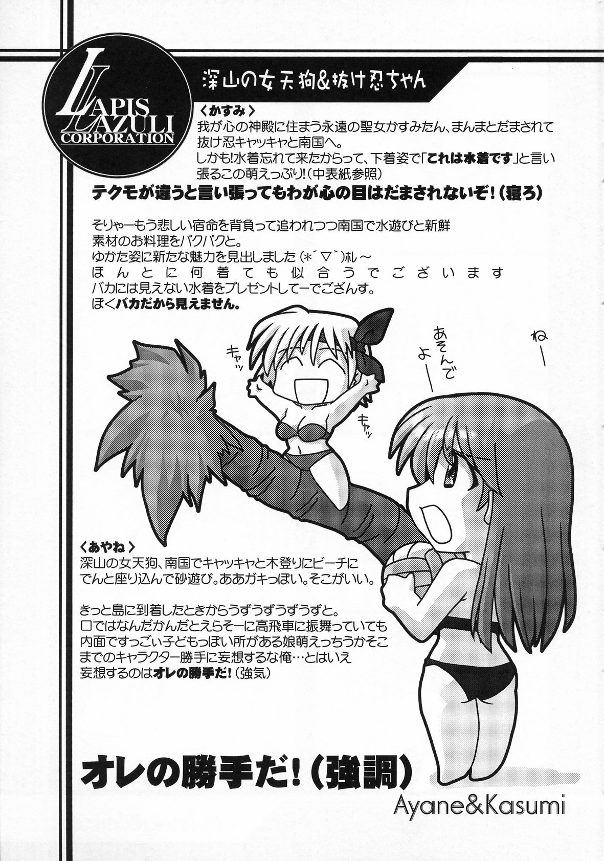 (C63) [UA Daisakusen (Harada Shoutarou)] Ruridou Gahou CODE:19 (Dead or Alive) page 7 full