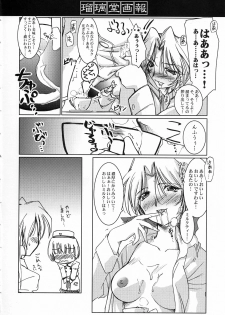 (C63) [UA Daisakusen (Harada Shoutarou)] Ruridou Gahou CODE:19 (Dead or Alive) - page 20