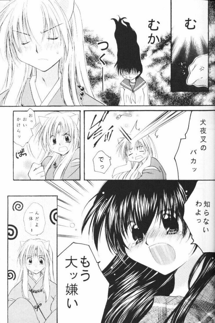 (CR33) [Sakurakan (Seriou Sakura)] Hoshikuzu Drop (Inuyasha) page 10 full