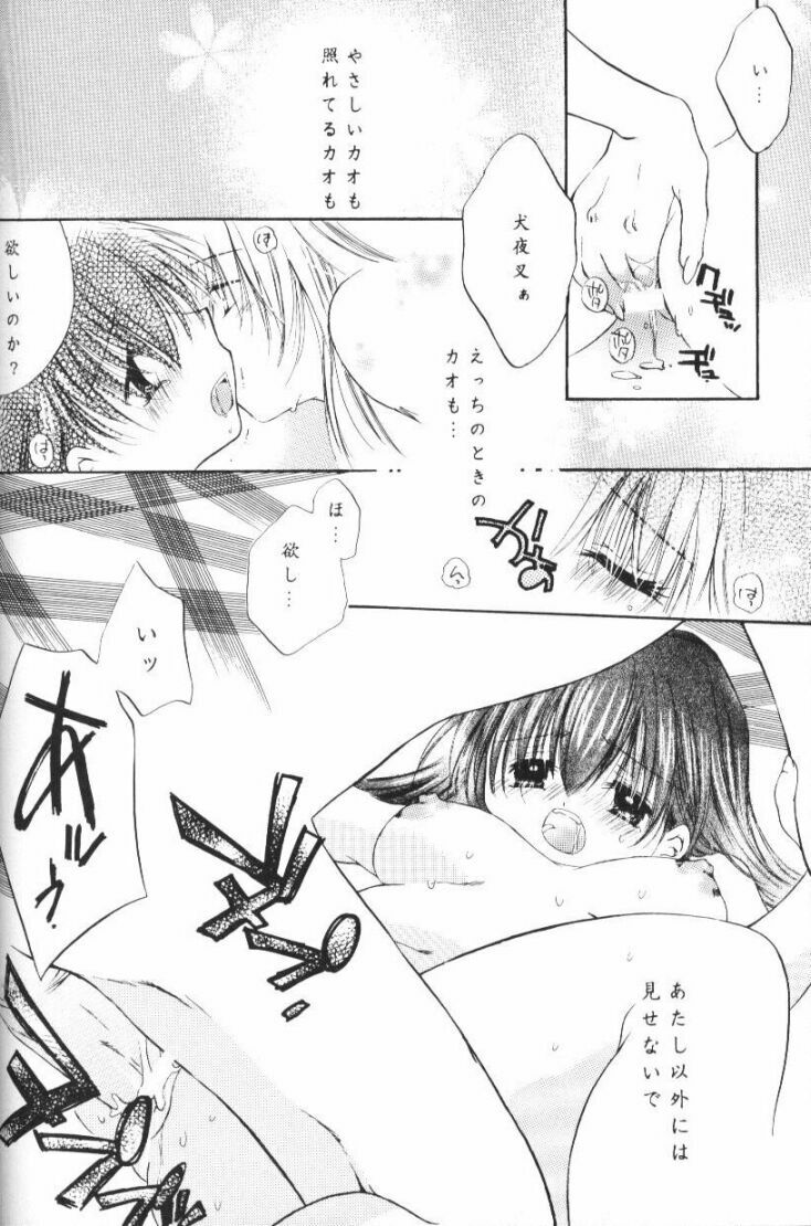 (CR33) [Sakurakan (Seriou Sakura)] Hoshikuzu Drop (Inuyasha) page 107 full