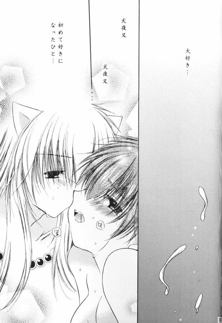 (CR33) [Sakurakan (Seriou Sakura)] Hoshikuzu Drop (Inuyasha) page 110 full