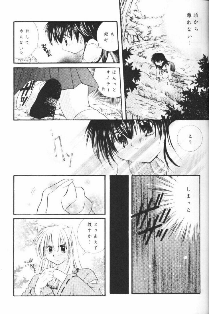 (CR33) [Sakurakan (Seriou Sakura)] Hoshikuzu Drop (Inuyasha) page 12 full