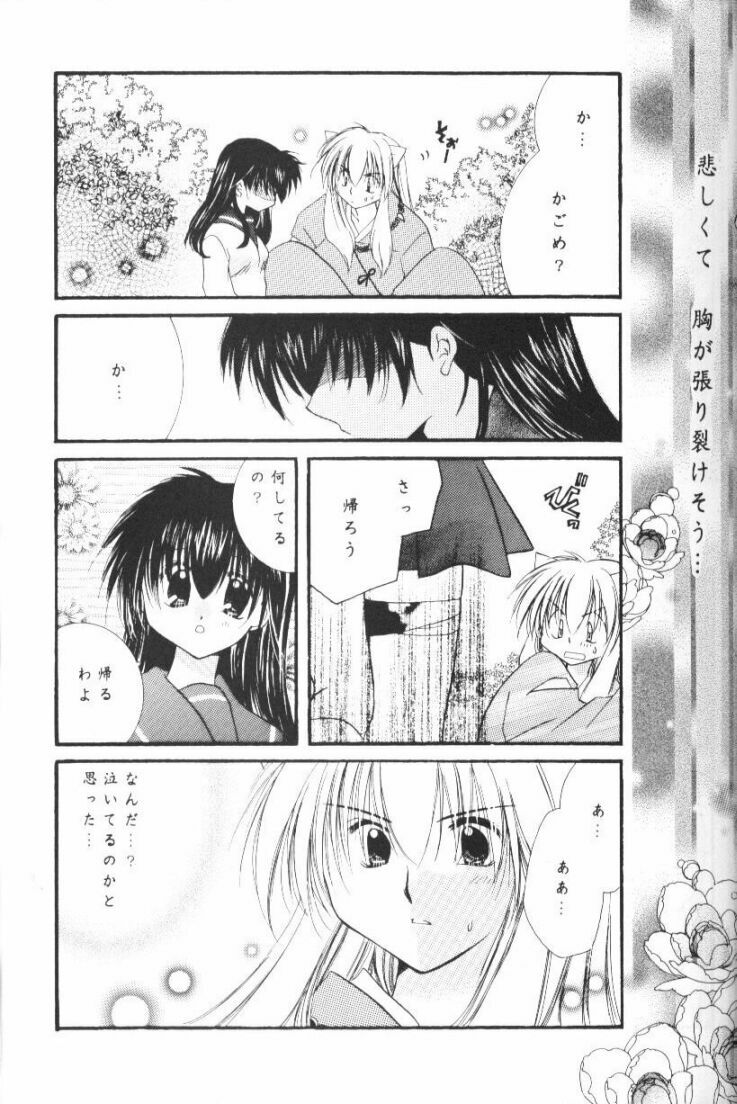 (CR33) [Sakurakan (Seriou Sakura)] Hoshikuzu Drop (Inuyasha) page 20 full