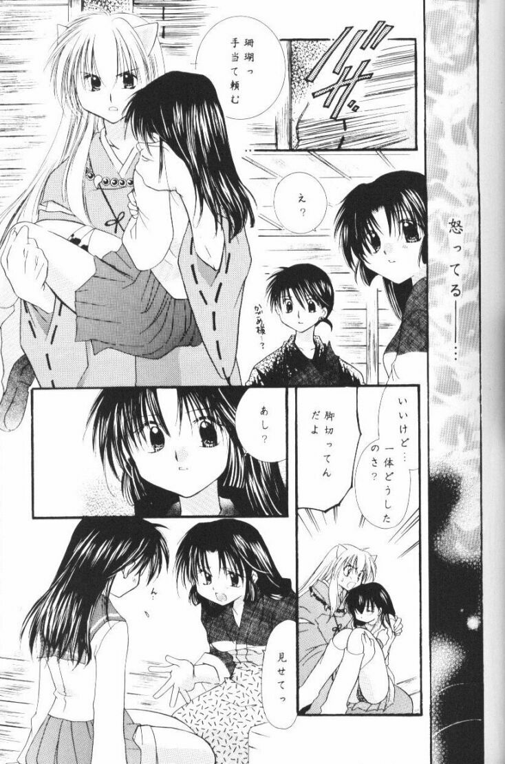 (CR33) [Sakurakan (Seriou Sakura)] Hoshikuzu Drop (Inuyasha) page 26 full