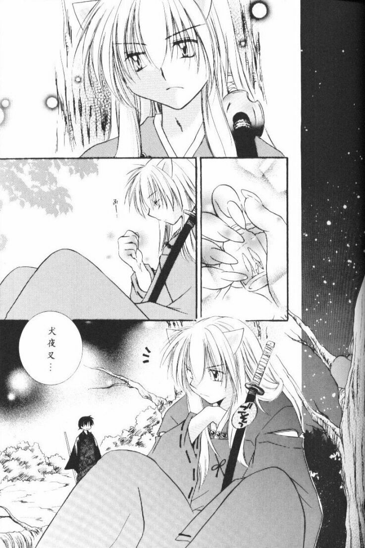 (CR33) [Sakurakan (Seriou Sakura)] Hoshikuzu Drop (Inuyasha) page 28 full